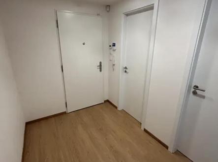 IMG_1294.jpg | Pronájem bytu, 2+kk, 65 m²