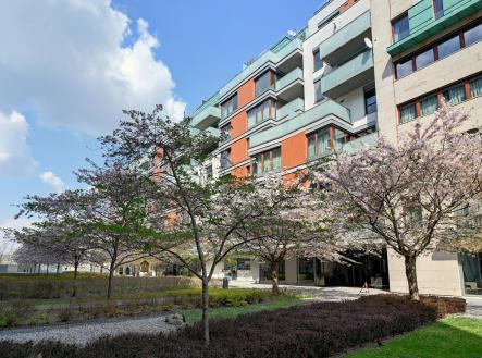Pronájem bytu, 2+kk, 77 m² obrázek