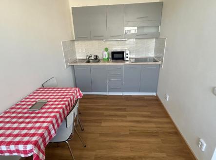 IMG_5730 (002).jpg | Pronájem bytu, 1+1, 40 m²