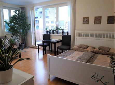 20190819_194822.jpg | Pronájem bytu, 1+kk, 37 m²