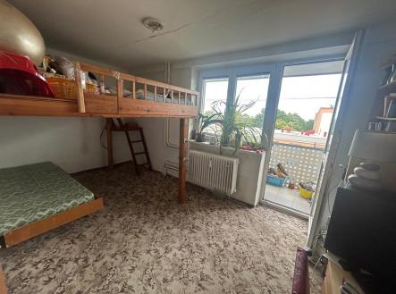 IMG_5897 (002).jpg | Pronájem bytu, jiný, 15 m²