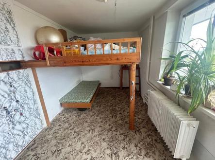 IMG_5894 (002).jpg | Pronájem bytu, jiný, 15 m²