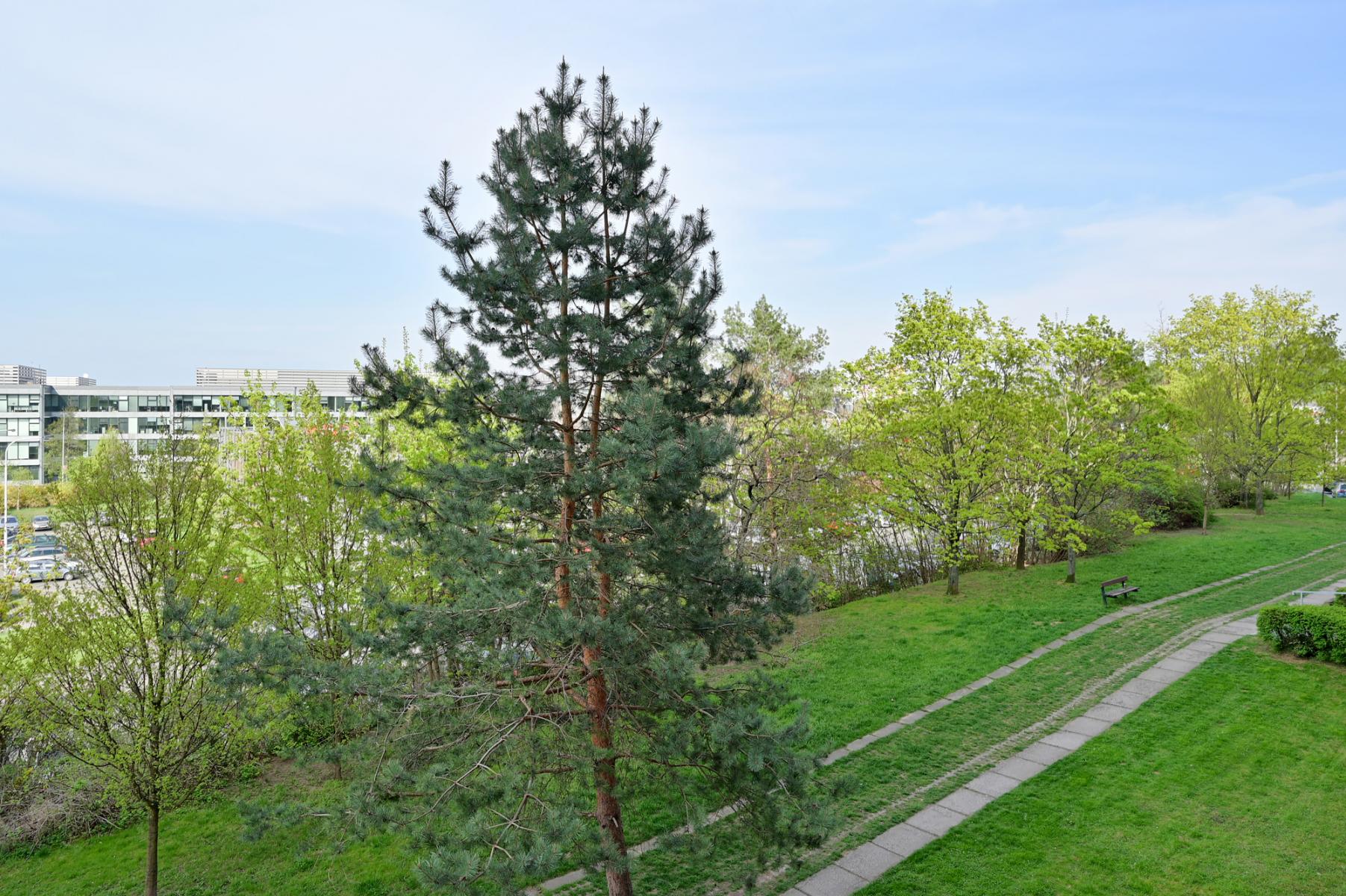 DSC_2621.jpg