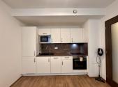 Pronájem bytu, 2+kk, 43 m²
