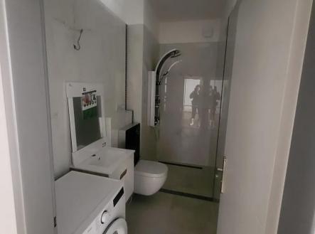 IMG_3098.jpg | Pronájem bytu, 2+1, 41 m²