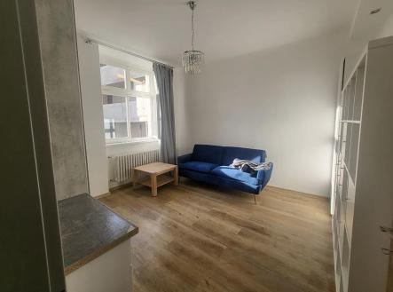 IMG_3099.jpg | Pronájem bytu, 2+1, 41 m²