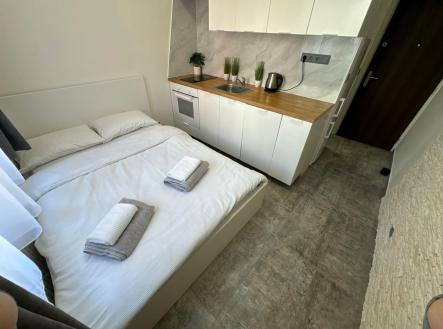 Pronájem bytu, 1+kk, 19 m² obrázek