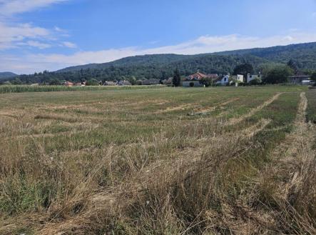 ab5c7adf-59e0-44b0-893f-7eacda184e1c.jpg | Prodej - pozemek pro bydlení, 6 873 m²