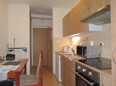 1 (4).JPG | Pronájem bytu, 1+kk, 22 m²