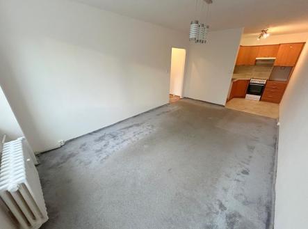 IMG_9579 (002).jpg | Pronájem bytu, 2+kk, 43 m²