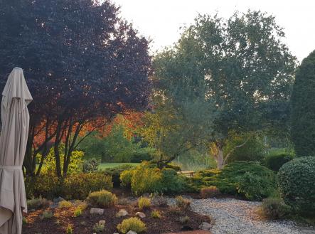 20200811_194109.jpg | Pronájem - dům/vila, 242 m²