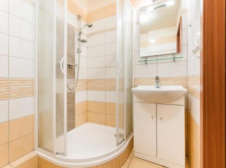 DSC07182.jpg | Pronájem bytu, 1+1, 38 m²