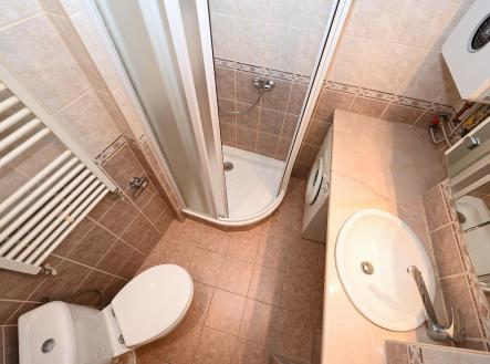 DSC_8855_01.jpg | Pronájem bytu, 1+1, 42 m²