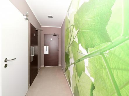 DSC_9222_00001.jpg | Pronájem - komerční objekt, jiný, 49,9 m²