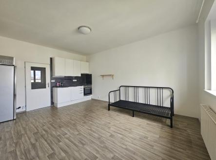 20260506_115247.jpg | Pronájem bytu, 1+kk, 28 m²
