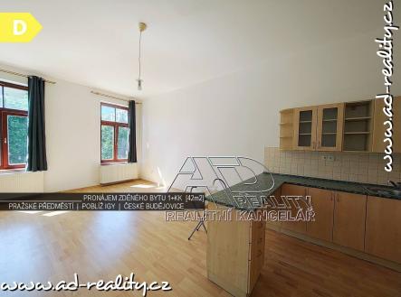 Bez popisku | Pronájem bytu, 1+kk, 48 m²