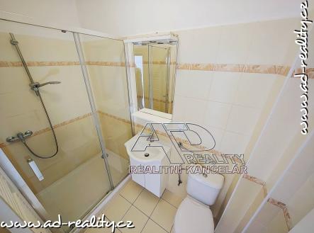 AD-reality, realitní kancelář | Pronájem bytu, 2+1, 72 m²