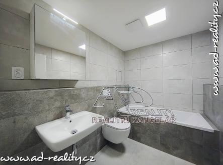 Bez popisku | Pronájem bytu, 1+kk, 36 m²