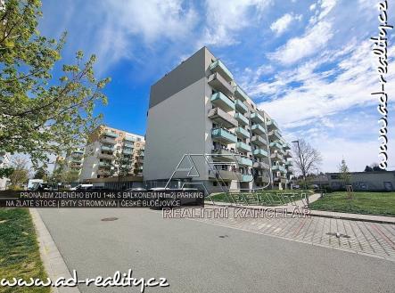 Bez popisku | Pronájem bytu, 1+kk, 39 m²