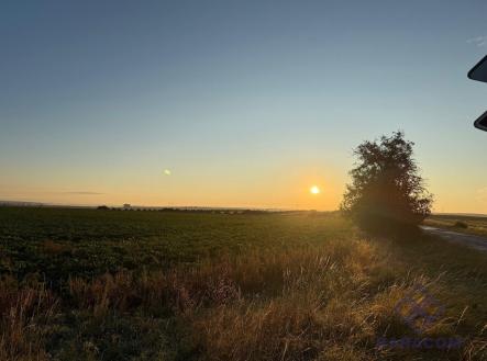 Prodej - pozemek pro bydlení, 603 m²