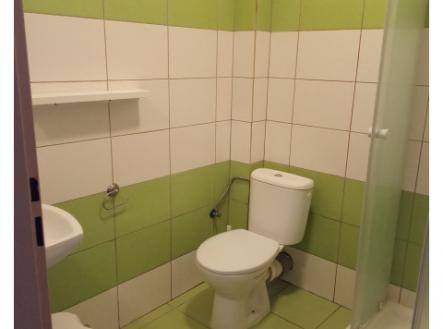 Nový byt 1kk k pronájmu, 20 m2, žel. st. Bojanovice, Praha hl n. 45 min vlakem, 6000 Kč plus popl. | Pronájem bytu, 1+kk, 20 m²