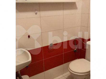 Nový byt 1kk k pronájmu, 20 m2, žel. st. Bojanovice, Praha hl n. 45 min vlakem, 6000 Kč plus popl. | Pronájem bytu, 1+kk, 20 m²