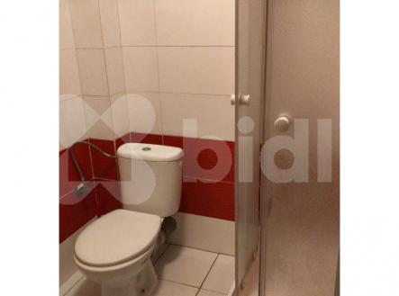 Nový byt 1kk k pronájmu, 20 m2, žel. st. Bojanovice, Praha hl n. 45 min vlakem, 6000 Kč plus popl. | Pronájem bytu, 1+kk, 20 m²