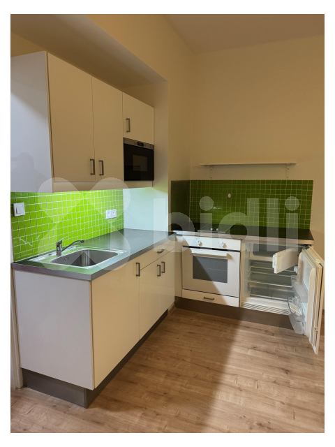 Nadstandardní byt 1kk po  kompletní nové rekonstrukci k pronájmu, centrum - Vinohrady