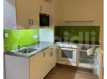 Nadstandardní byt 1kk po  kompletní nové rekonstrukci k pronájmu, centrum - Vinohrady | Pronájem bytu, 1+kk, 30 m²