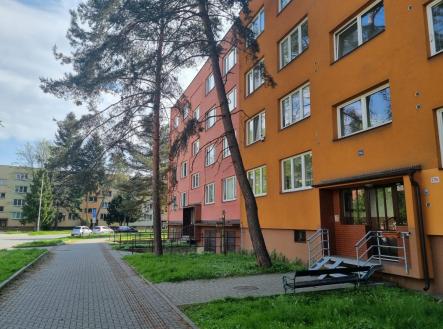 Obrázek WhatsApp, 2024-04-25 v 15.20.15_68359cd2.jpg | Pronájem bytu, 1+1, 41 m²