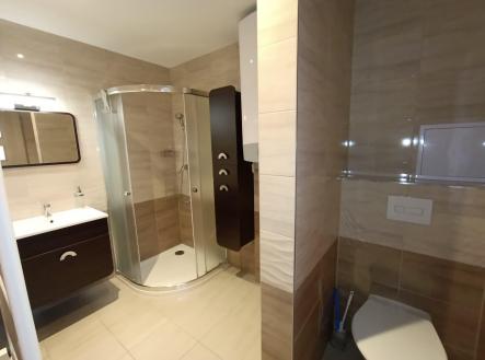 koup 1.jpeg | Pronájem bytu, 2+1, 51 m²