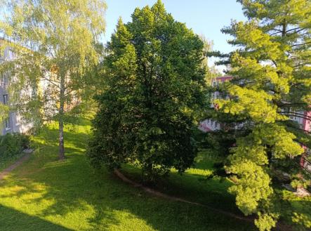 6.jpeg | Prodej bytu, 2+1, 53 m²