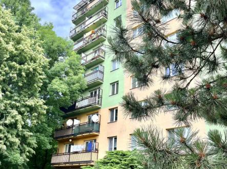 IMG_2801.jpeg | Prodej bytu, 2+1, 54 m²