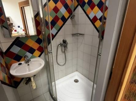 Fotka 4 | Pronájem - obchodní prostor, 66 m²