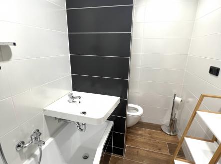 Obrázek k zakázce č.: 684206 | Pronájem bytu, 1+kk, 28 m²