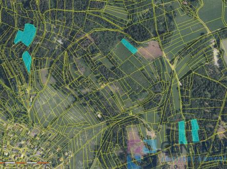 c5eaa106-47f0-4f1b-ad70-589c6b556fc2.jpg | Prodej - pozemek, les, 15 992 m²