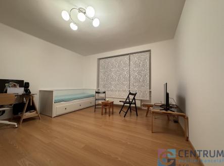 Pronájem bytu, 1+1, 58 m² obrázek