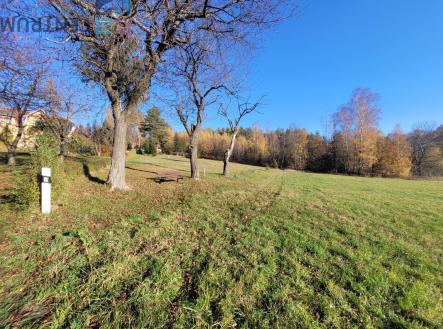 20241109_141936.jpg | Prodej - pozemek, trvalý travní porost, 6 834 m²