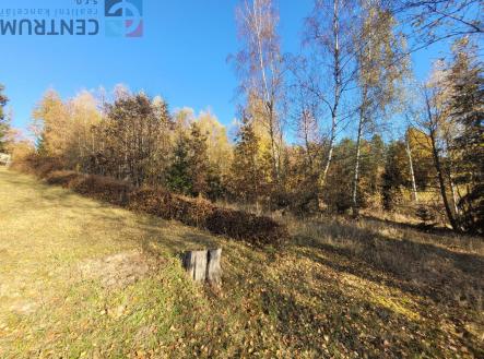 20241109_141713.jpg | Prodej - pozemek, trvalý travní porost, 6 834 m²