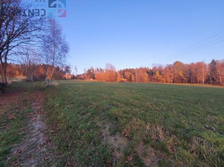 20241109_160839.jpg | Prodej - pozemek, trvalý travní porost, 6 834 m²