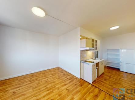 04162025_130555.jpg | Pronájem bytu, 1+kk, 29 m²