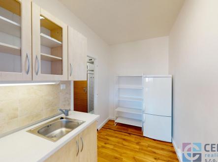 04162025_130225.jpg | Pronájem bytu, 1+kk, 29 m²