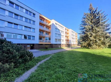 Pronájem bytu, 3+1, 75 m² obrázek