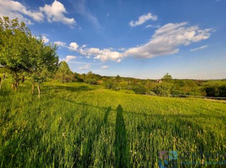 20250502_185044.jpg | Prodej - pozemek, trvalý travní porost, 1 942 m²
