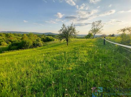 20250502_185405.jpg | Prodej - pozemek, trvalý travní porost, 1 942 m²