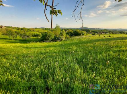 20250502_185257.jpg | Prodej - pozemek, trvalý travní porost, 1 942 m²