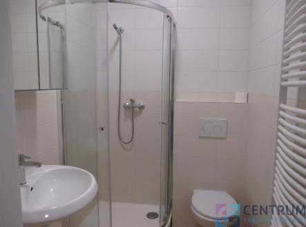 IMG_2962.JPG | Pronájem bytu, 1+kk, 23 m²