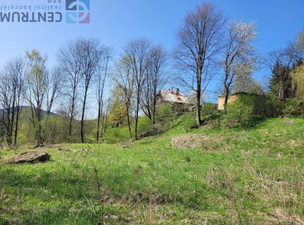 Prodej - pozemek pro bydlení, 1 317 m²