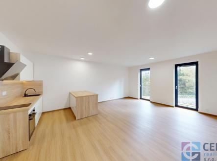 1.jpg | Pronájem bytu, 1+kk, 53 m²