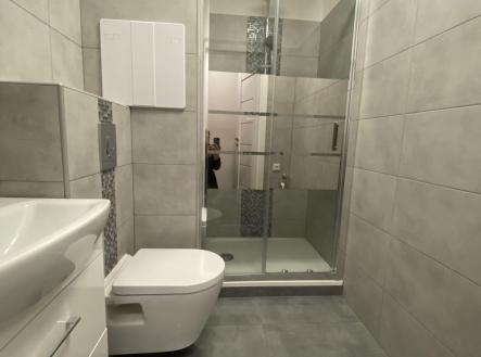 80BC8CD8-46C7-43E3-A7F4-BDF9F30552CC.jpeg | Pronájem bytu, 1+1, 36 m²